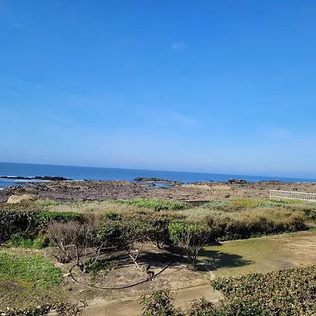 Le Verdi - Les De La Cote D'amour *